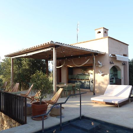 Alma Liebre Vinedos Del Valle Valle de Guadalupe Zewnętrze zdjęcie