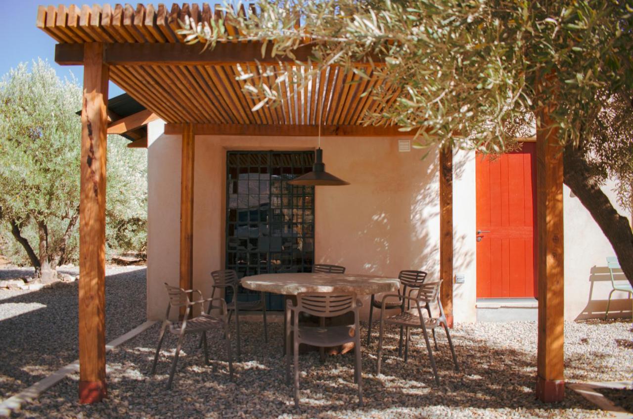 Alma Liebre Vinedos Del Valle Valle de Guadalupe Zewnętrze zdjęcie