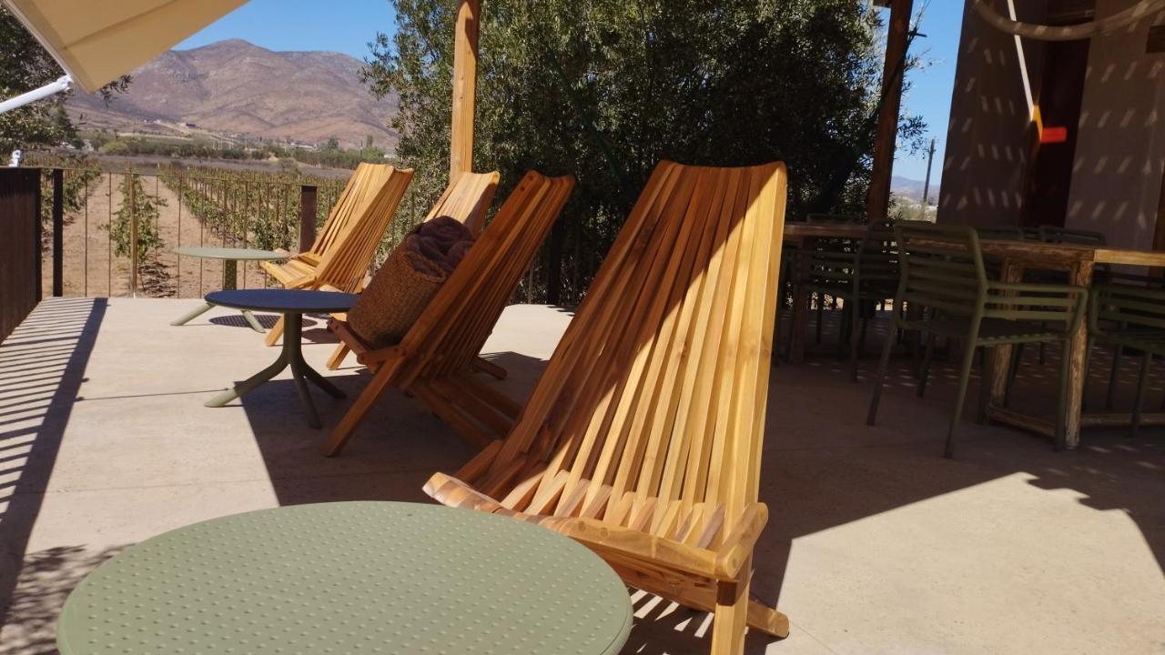 Alma Liebre Vinedos Del Valle Valle de Guadalupe Zewnętrze zdjęcie