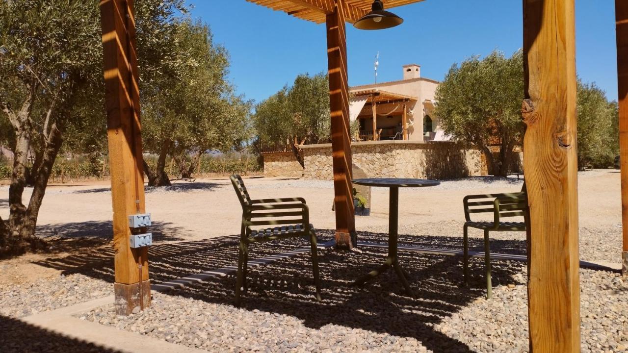 Alma Liebre Vinedos Del Valle Valle de Guadalupe Zewnętrze zdjęcie