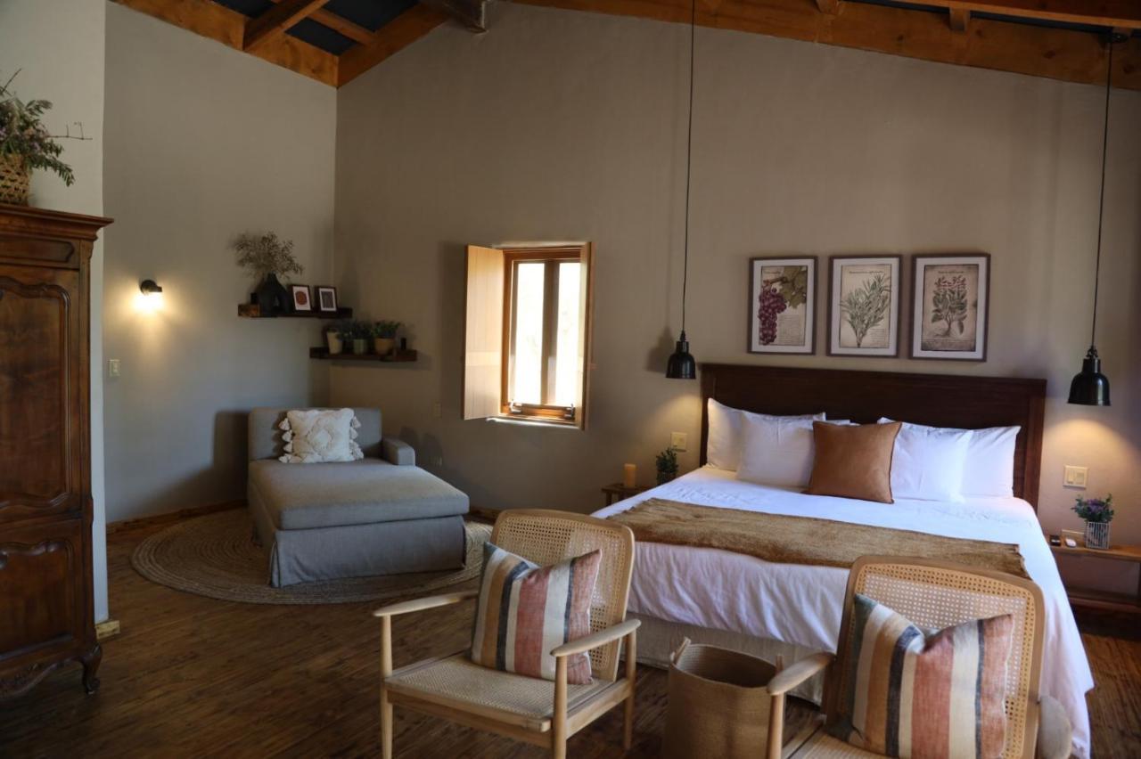Alma Liebre Vinedos Del Valle Valle de Guadalupe Zewnętrze zdjęcie