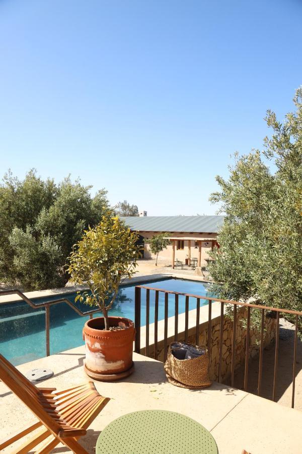 Alma Liebre Vinedos Del Valle Valle de Guadalupe Zewnętrze zdjęcie