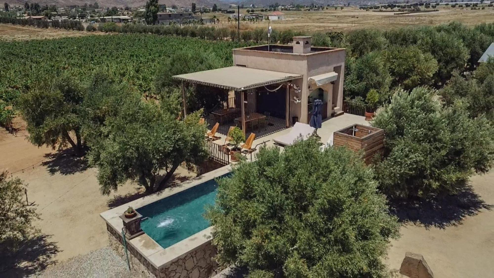 Alma Liebre Vinedos Del Valle Valle de Guadalupe Zewnętrze zdjęcie
