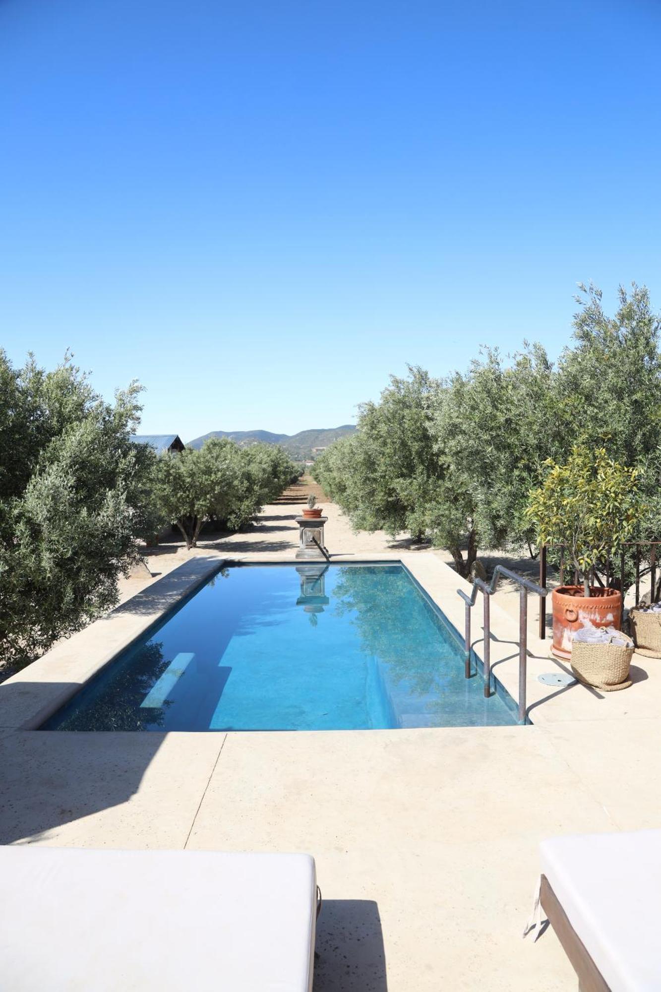 Alma Liebre Vinedos Del Valle Valle de Guadalupe Zewnętrze zdjęcie