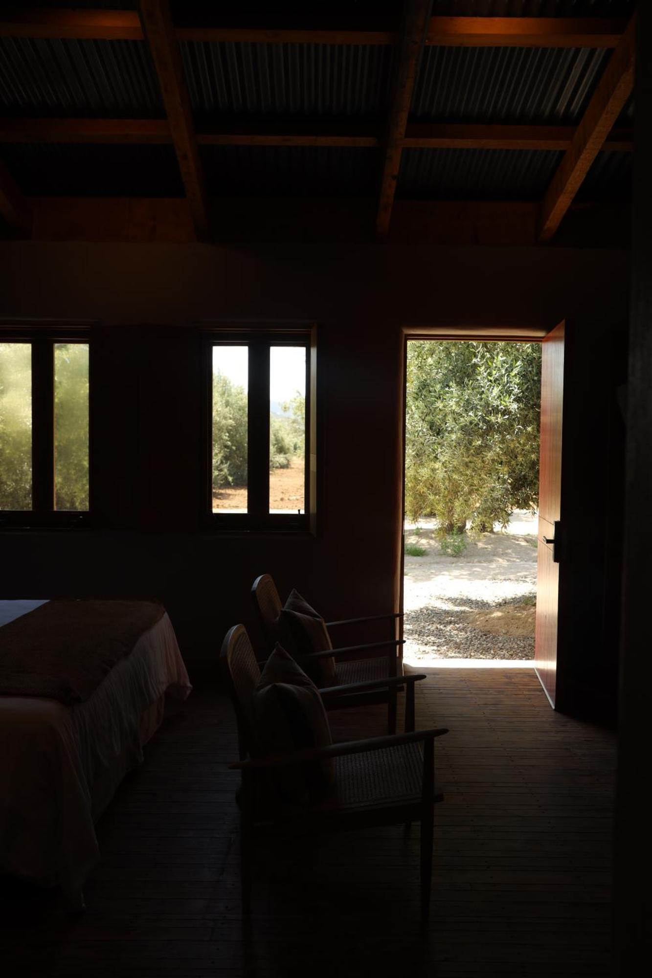 Alma Liebre Vinedos Del Valle Valle de Guadalupe Zewnętrze zdjęcie