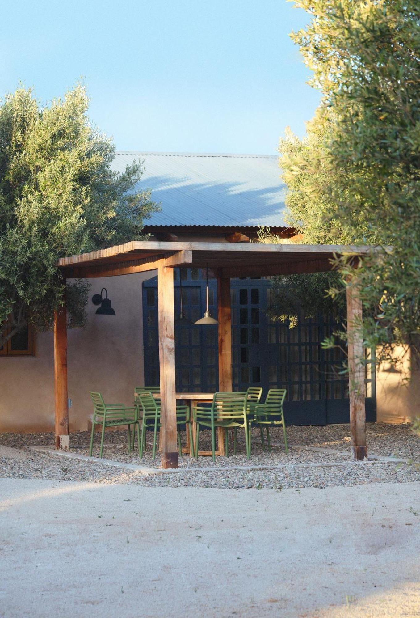 Alma Liebre Vinedos Del Valle Valle de Guadalupe Zewnętrze zdjęcie
